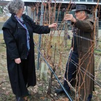 Elaine and Don Triggs of Culmina discuss pruning in their vineyard south of Oliver on the Okanagan’s Golden Mile.