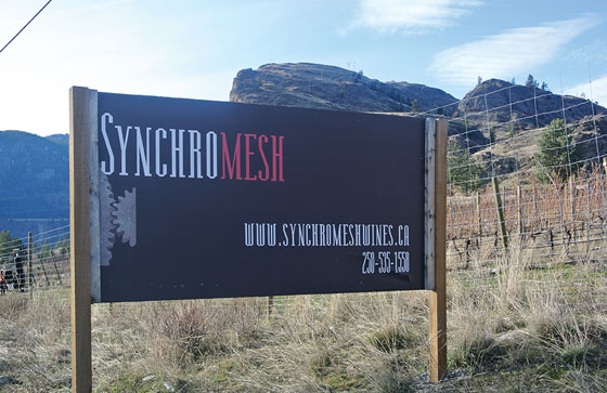 Synchromesh Wines Inc.