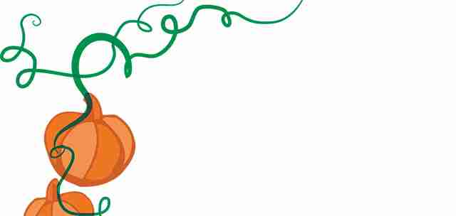 pumpkins on a vine