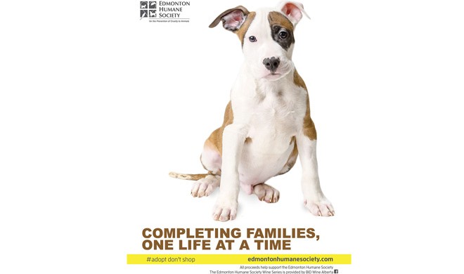 The Edmonton Humane Society’s label-puppy