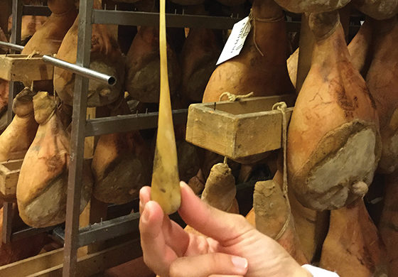 the ago di osso di cavallo is the tool used to detect spoilage