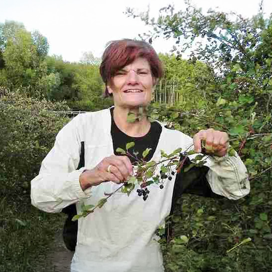Bonnie Patterson-Payne picks saskatoons