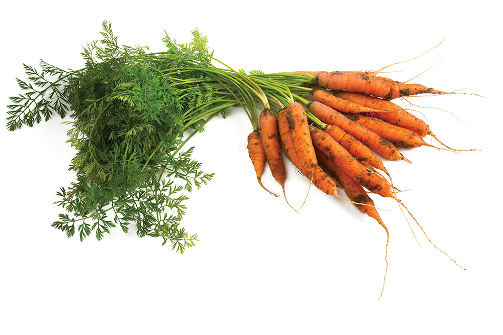 Carrots in the Time of Cholera