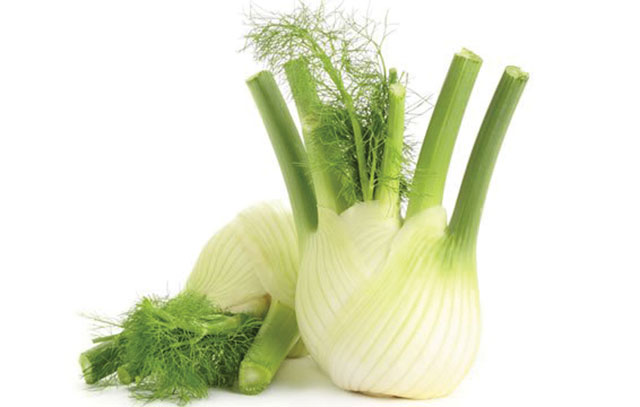 Fennel