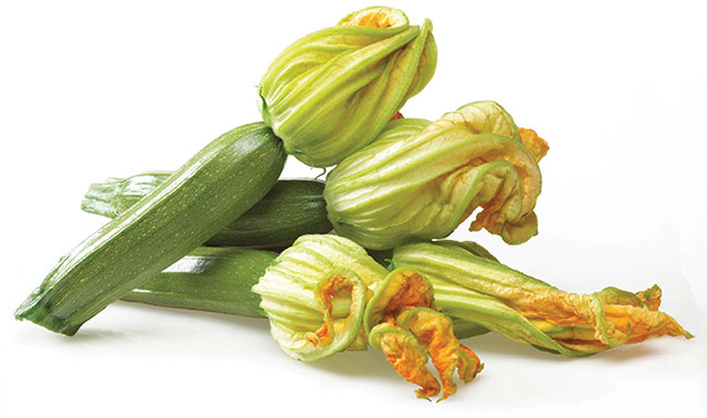 Zucchini Flowers