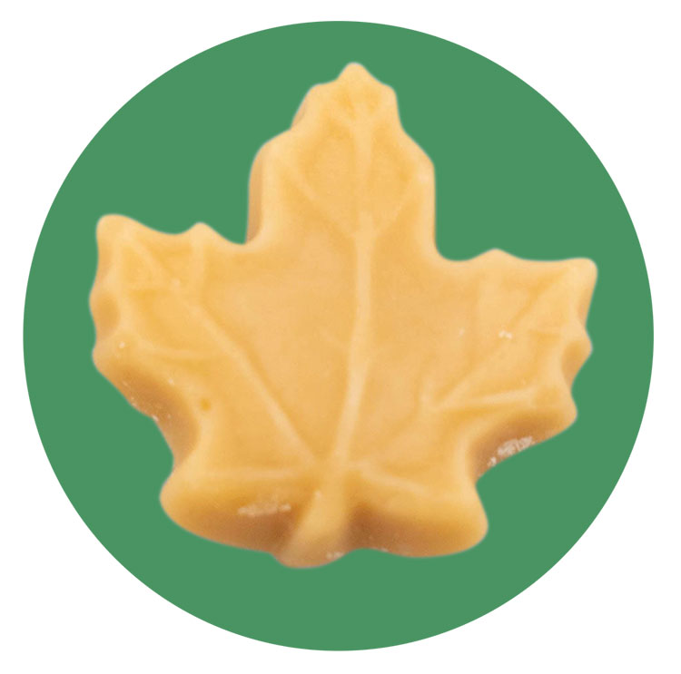 Maple Sugar Candy