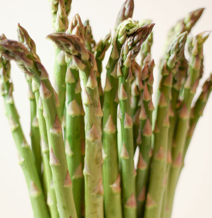 Edgar Asparagus is here! Yaay!