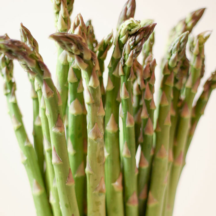 Edgar Asparagus is here! Yaay!