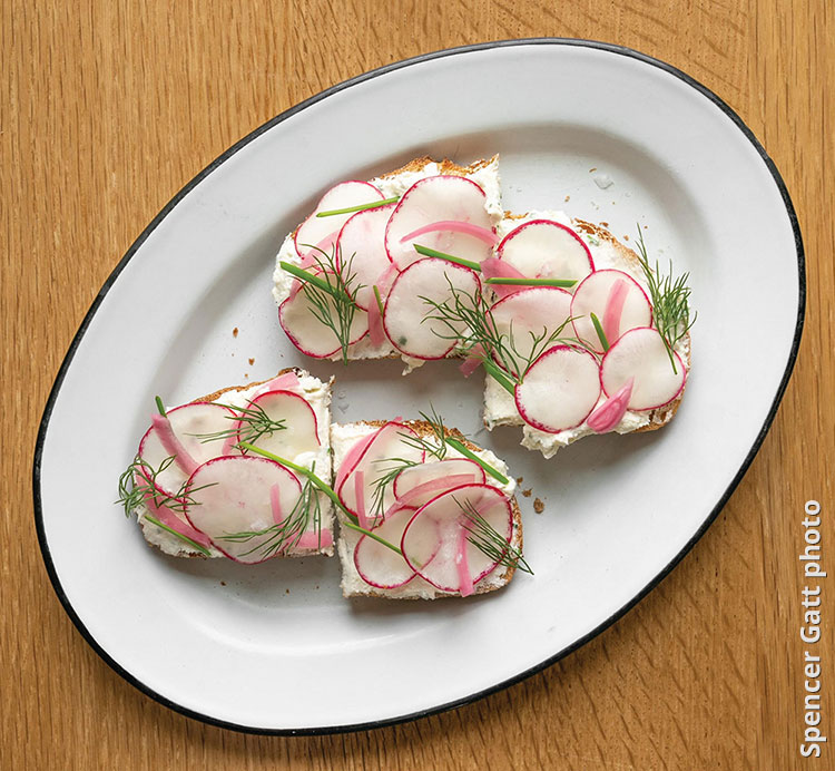 Chive and Fromage Blanc Tartine with Fresh Radish