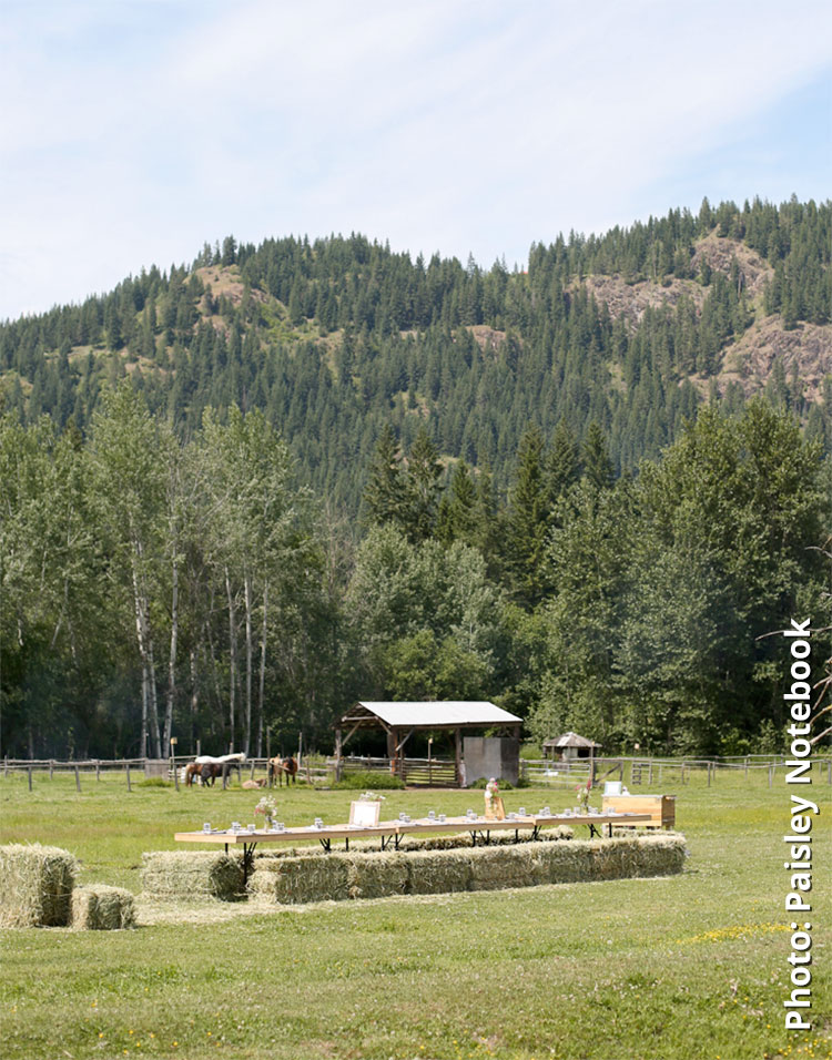 Summer Wine Dinners in the Okanagan