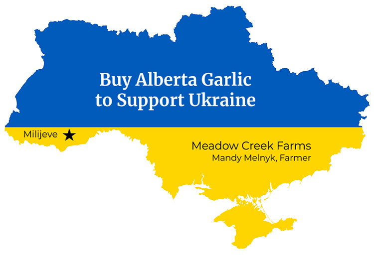 Buy garlic to Help Ukraine