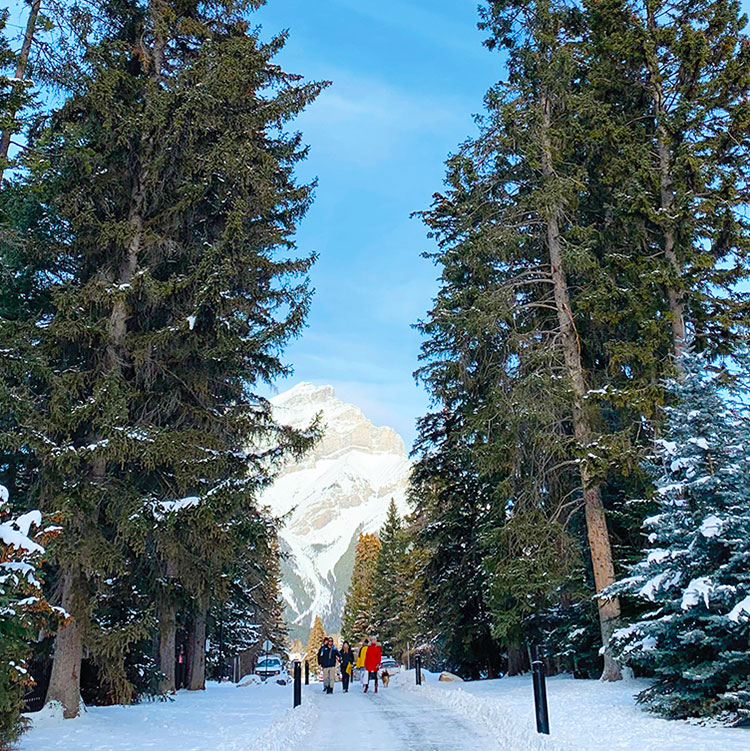 Rundle (Minihapa, Cree) and Cascade (Waskahigan Watchi, Stoney Nakoda) Mountains dominate the Banff skyline.