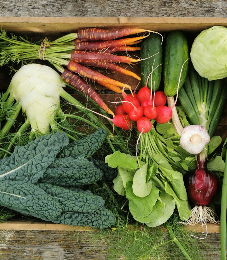 Want to Eat your Five a Day? Register for your CSA Now!