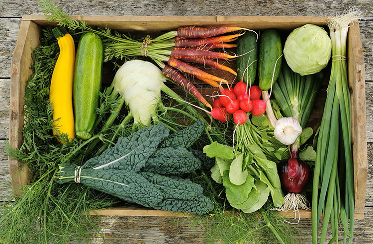 Want to Eat your Five a Day? Register for your CSA Now!