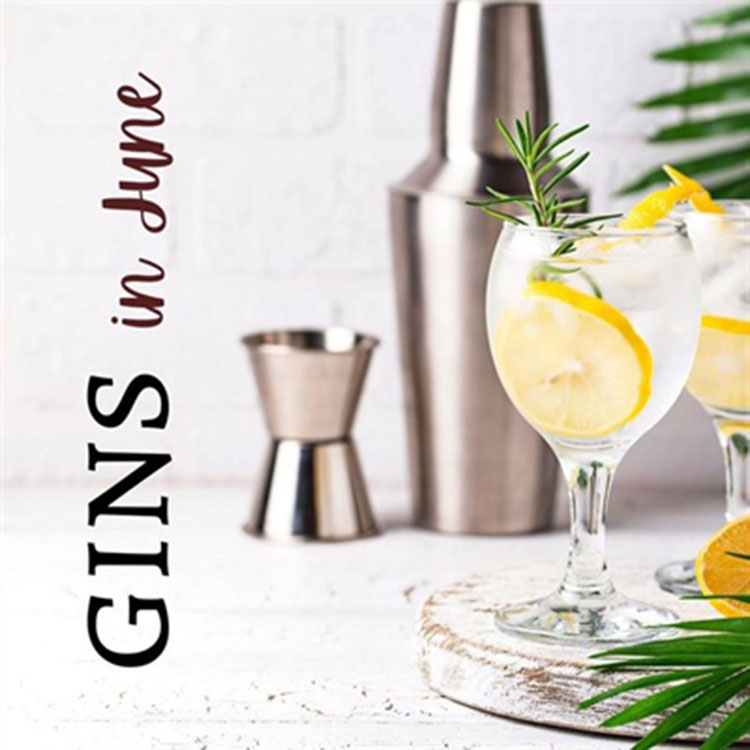 Gins in June at Aligra 