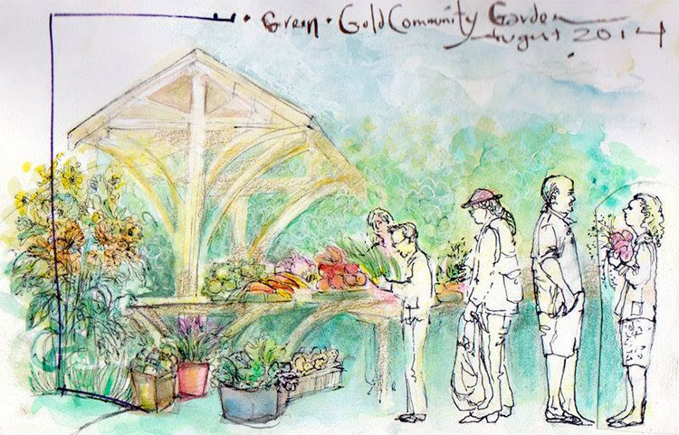 Visit the Green & Gold Community Garden for tasty veg this summer