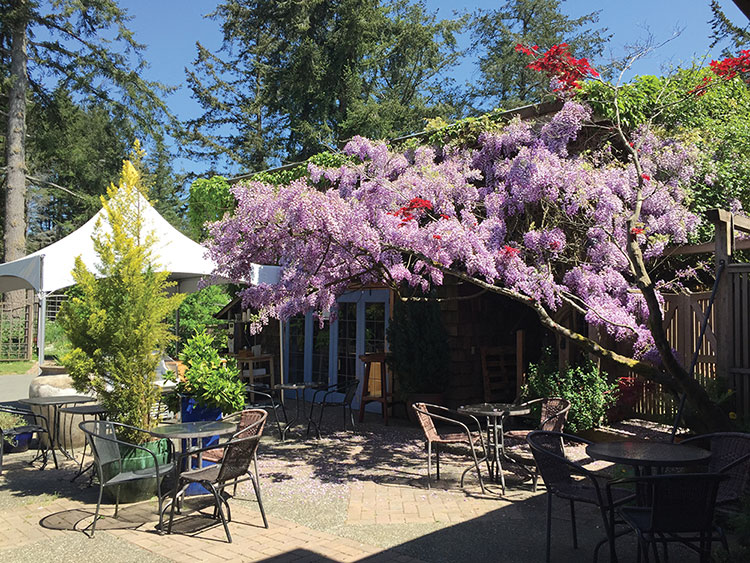 David Wood’s Cheese Company cafe.