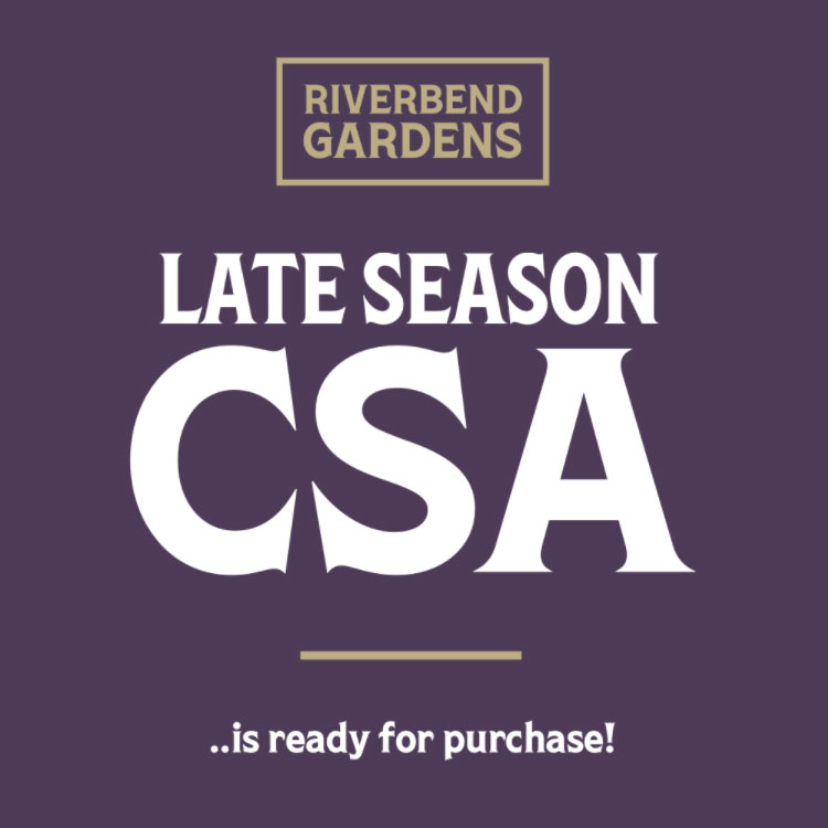 Riverbend’s Late Season CSA is Booking Now 