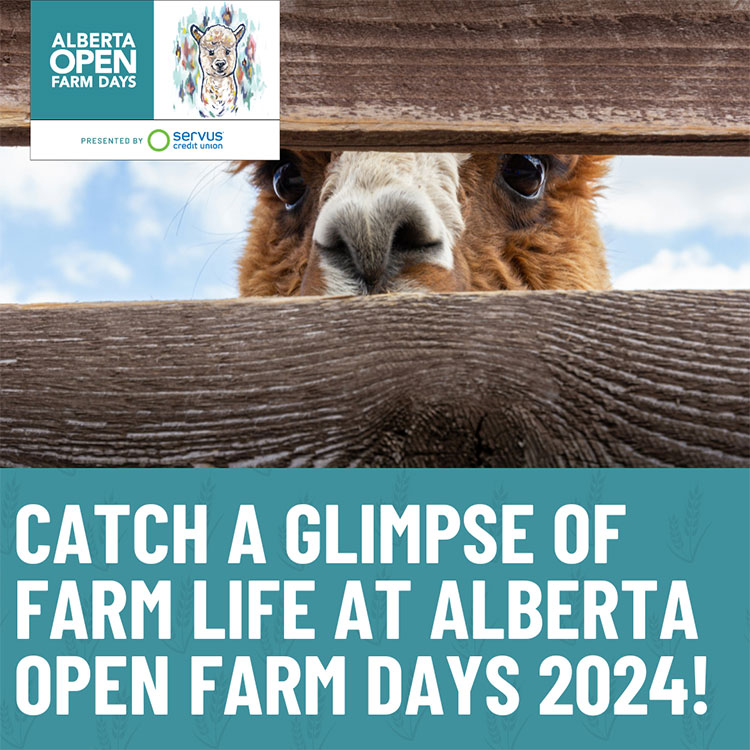 Alberta Open Farm Days is August 17 and 18