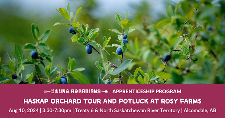 Young Agrarian tour at Rosy Farms