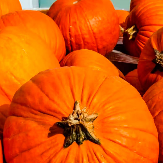 Recipe of the Week: Chef Jason Green’s Pumpkin Succotash.