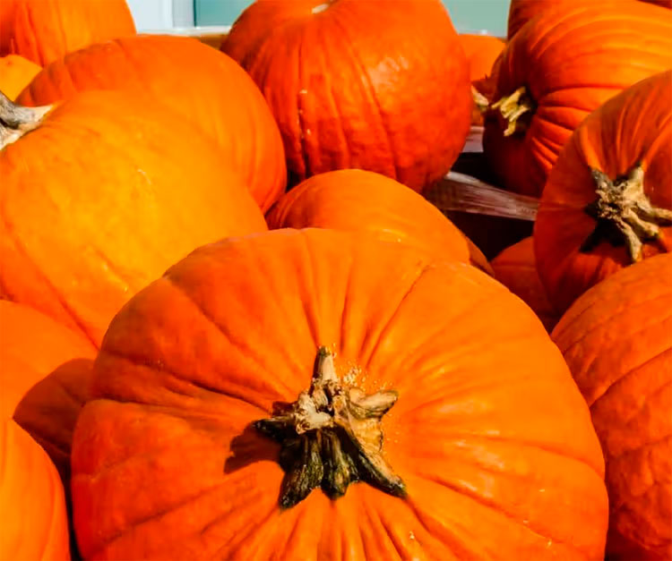 recipe of the week; chef Jason greene’s pumpkin succotash