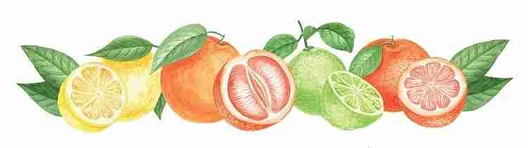 Citrus Group