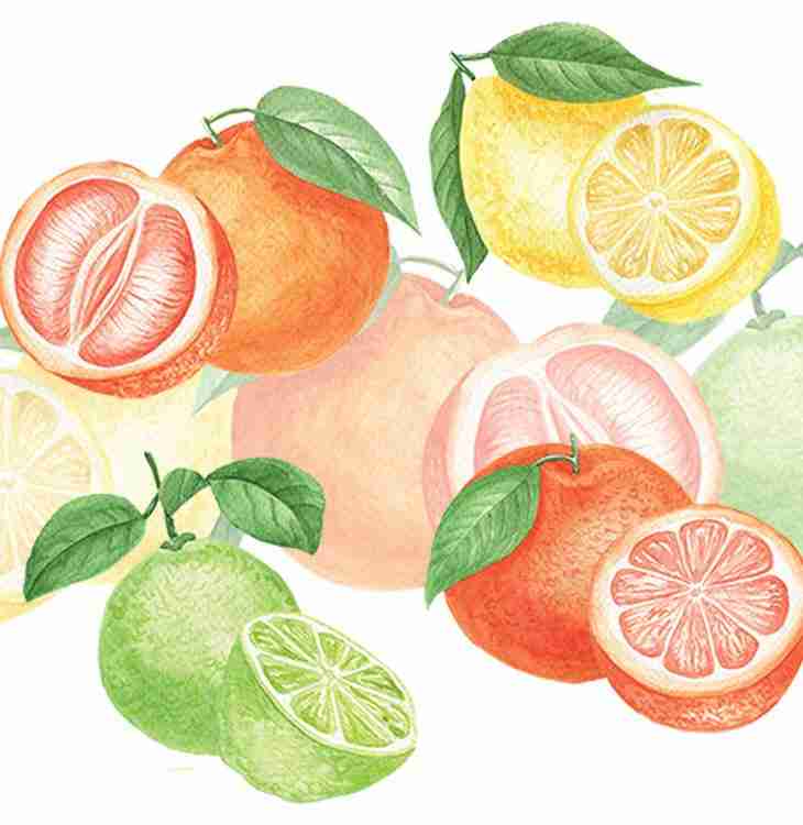 Citrus recipes