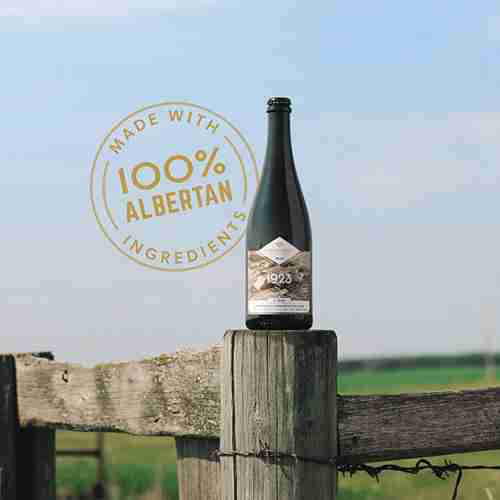 An All Alberta Beer
