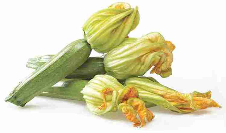 Recipe of the Week: Fiore di Zucca