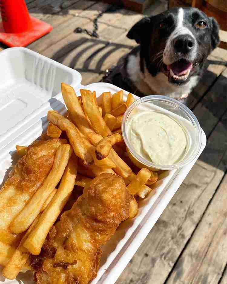 Sabor Fish and Chips for the Kids