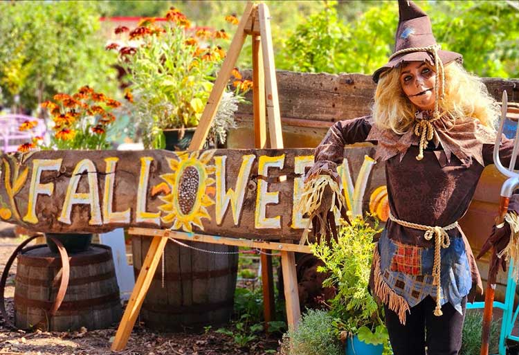 Fall-o-Ween Harvest Fest at Prairie Gardens