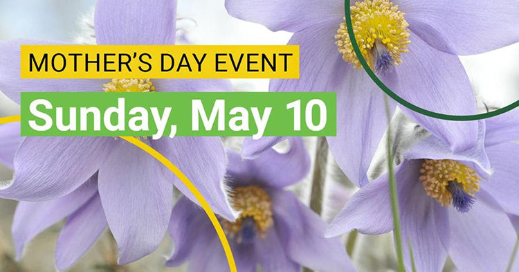Celebrate Mother’s Day at the U of A Botanic Garden 