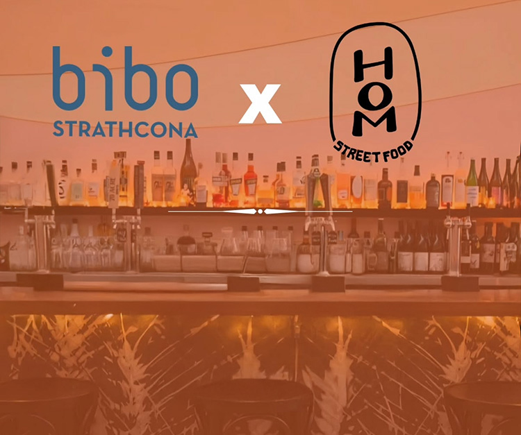 Bibo is Back!