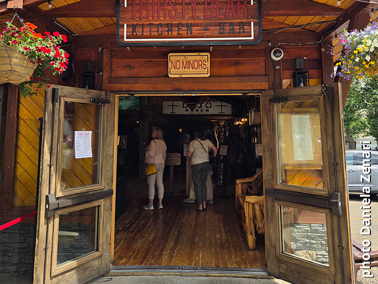  The Thirsty Bear, Waterton